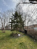 IMG_4737.jpeg