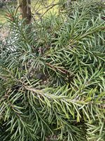 IMG_4728.jpeg