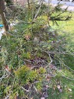 391d1ba7-3976-4c3c-8601-a4186196138d.jpeg