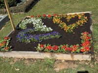 IMG_6420.jpeg