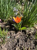 IMG_0225.JPEG