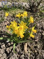 IMG_0227.JPEG
