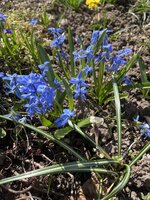 IMG_0228.JPEG