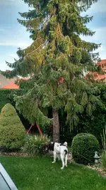 IMG_20180910_182408132_HDR.webp