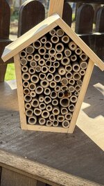 IMG_3884.jpeg