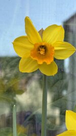 IMG_3887.jpeg