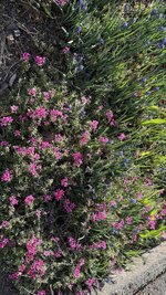 IMG_3893.jpeg