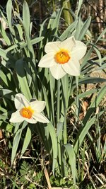IMG_3898.jpeg