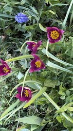 IMG_3892.jpeg