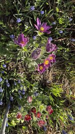 IMG_3894.jpeg