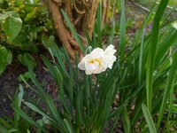IMG_20250405_175733.jpg