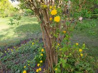 IMG_20250405_175706.jpg