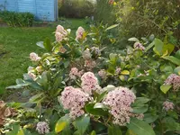 IMG_20250405_175559.webp