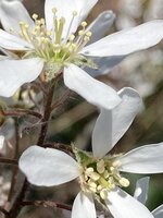 IMG_4970.JPG