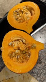 IMG_3918.jpeg