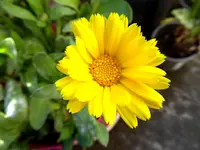 011.webp