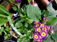 010.webp