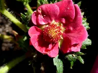 014.webp