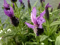 018.webp