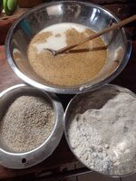 IMG_20250403_154239.jpg