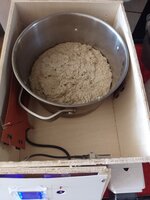 IMG_20250403_160516.jpg