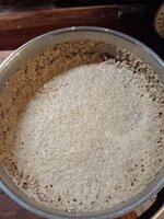 IMG_20250404_102224.jpg