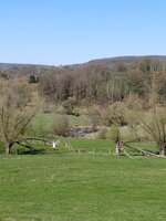 IMG_20250406_132700.jpg