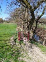 IMG_20250406_133100.jpg