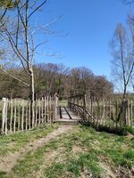 IMG_20250406_133809.jpg
