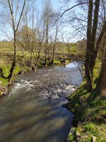 IMG_20250406_133828.jpg