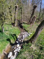 IMG_20250406_141503.jpg