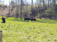 IMG_20250406_141945.jpg