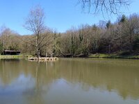 IMG_20250406_143107.jpg