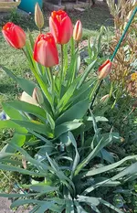 20250406_162348.webp