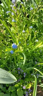 20250406_162205.webp