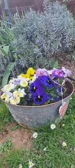 20250405_163551.webp