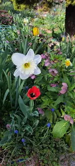 20250405_163525.webp