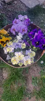 20250404_154808.webp