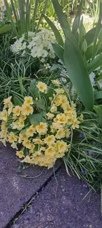 20250404_155013.webp