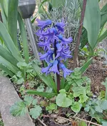 20250401_164928.webp