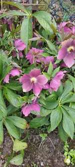 20250329_124003.webp