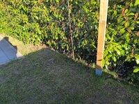 IMG_20250406_175820.jpg