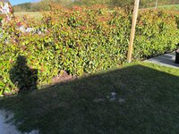 IMG_20250406_175804.jpg