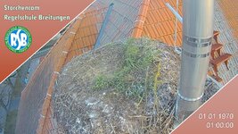 IMG_1935.jpeg