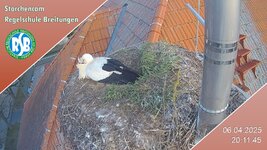 IMG_1936.jpeg