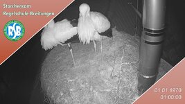 IMG_1937.jpeg