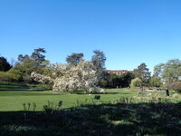 DSC01423.JPG