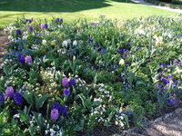 DSC01425.JPG