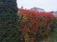 IMG_20250407_081034 (1).webp