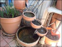 c032.jpg